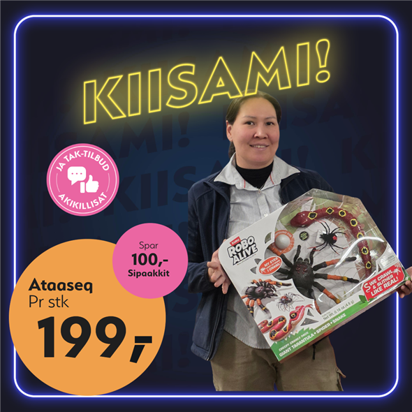 ‼️‼️MALUGIUK AATSAAT TALLIMANNGORNEQ 30.10.2026 AASASSAAMMATA - bemærk det skal først afhentes fredag den 30.10.2026‼️‼️